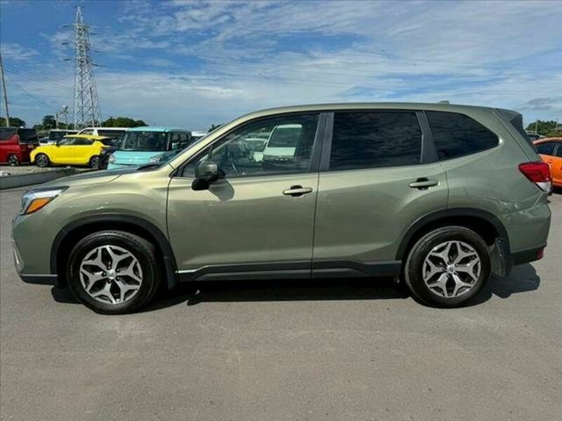 FORESTER