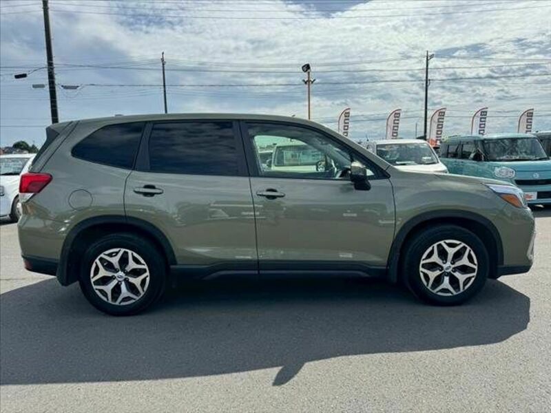 FORESTER