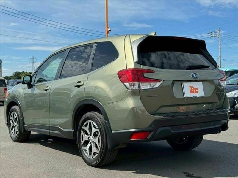 FORESTER