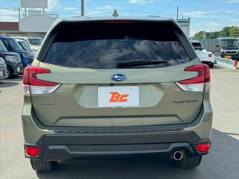 FORESTER