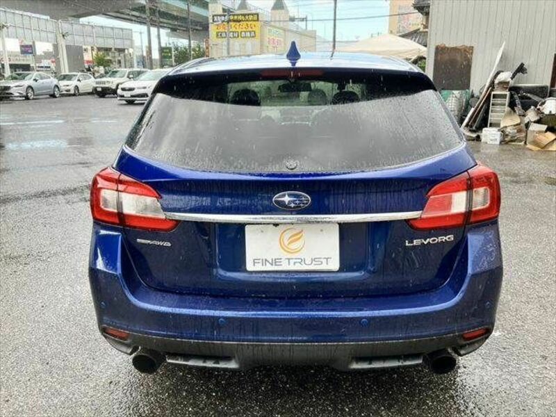 LEVORG