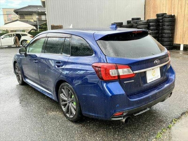 LEVORG