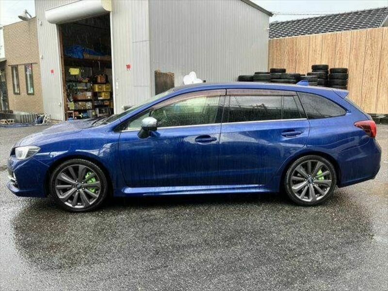 LEVORG
