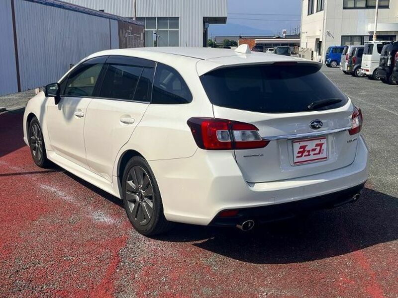LEVORG