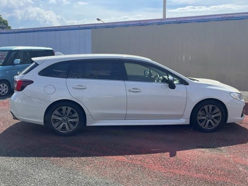 LEVORG