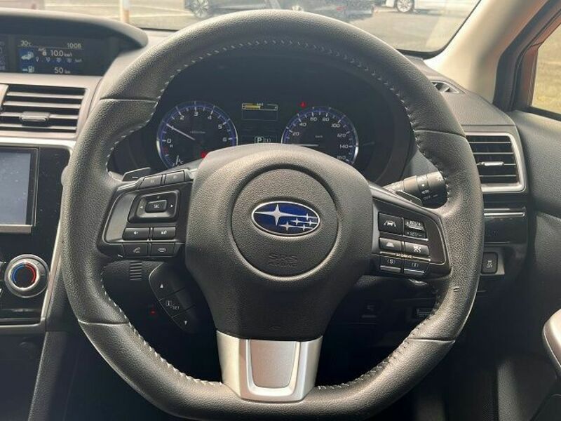 LEVORG