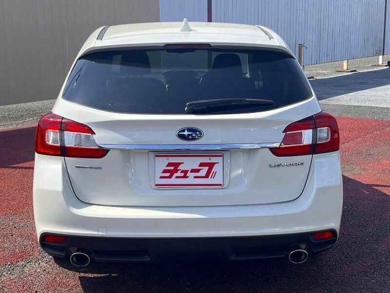 LEVORG