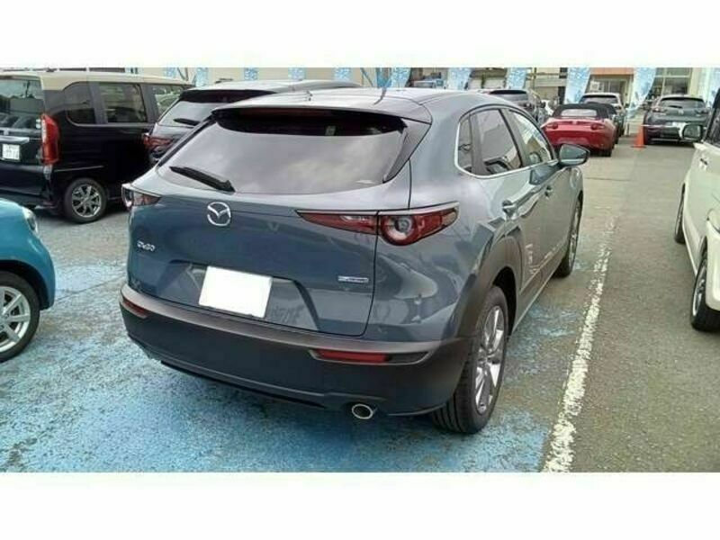 CX-30
