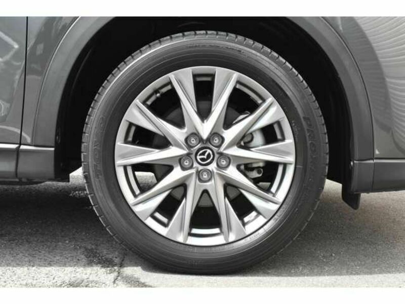 CX-8