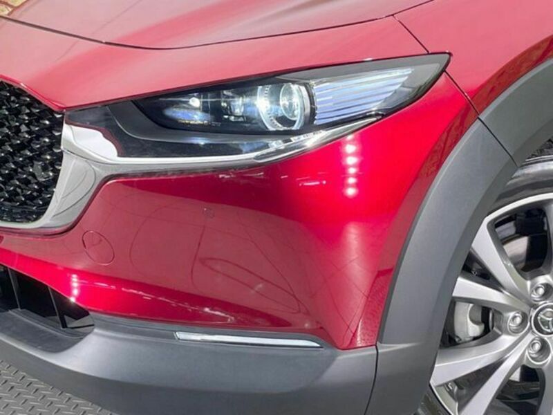 CX-30