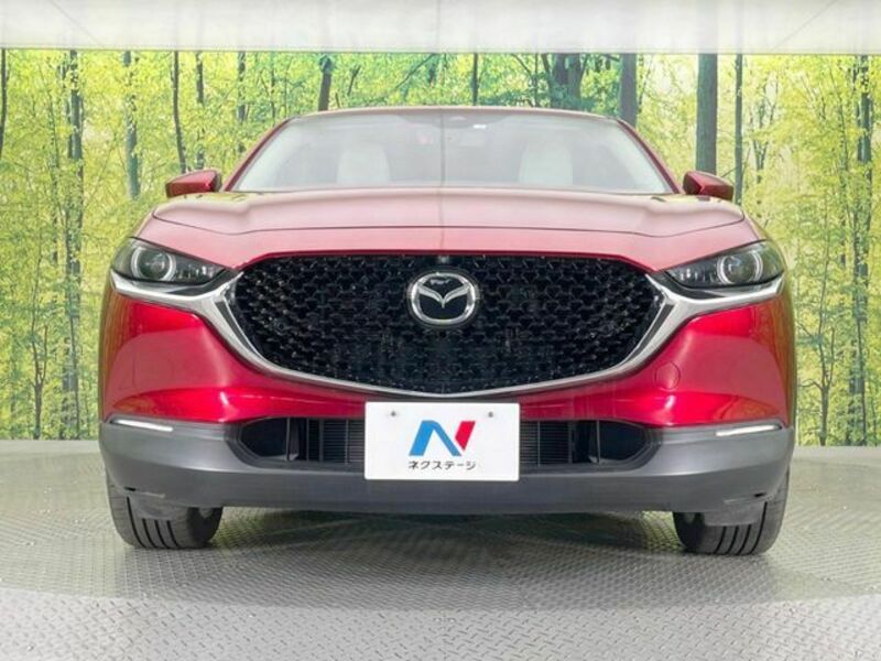CX-30