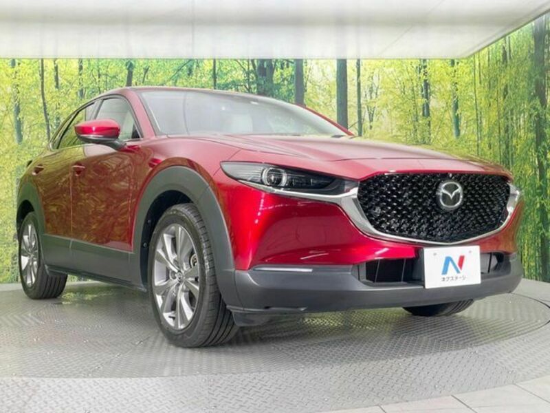 CX-30