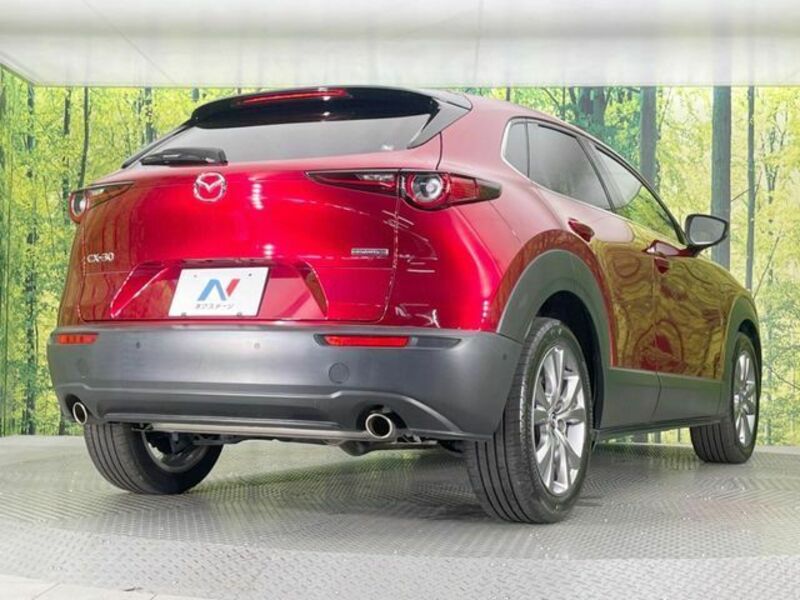 CX-30