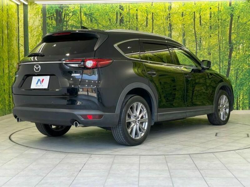 CX-8