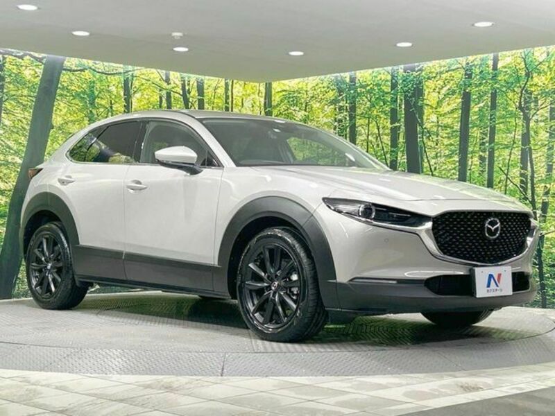 CX-30