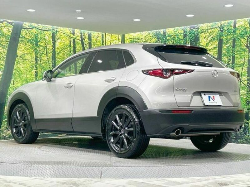CX-30