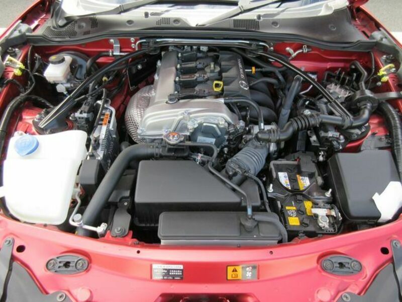 ROADSTER RF