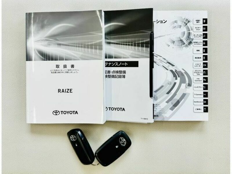 RAIZE