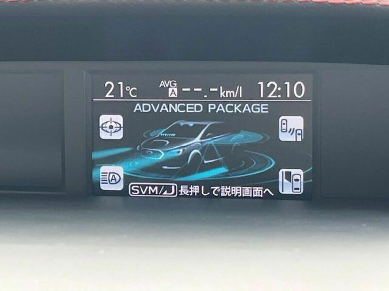 LEVORG