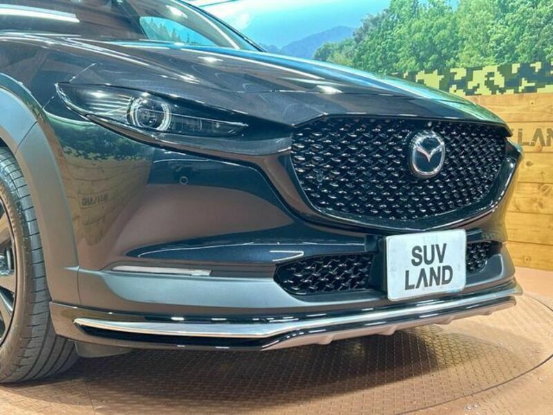CX-30