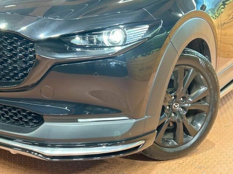 CX-30