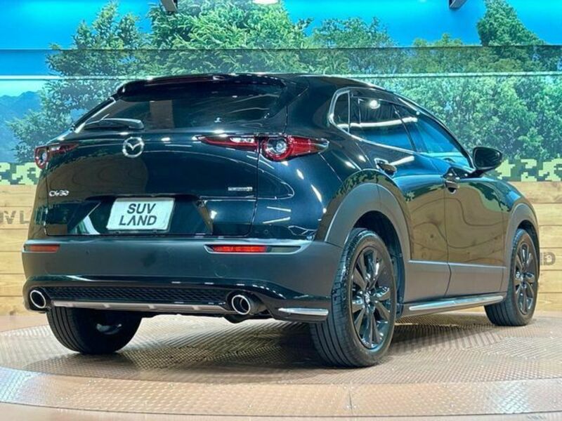CX-30