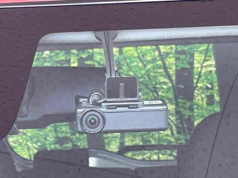 DAYZ ROOX