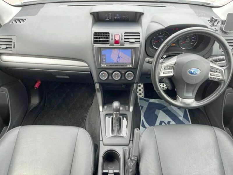 FORESTER