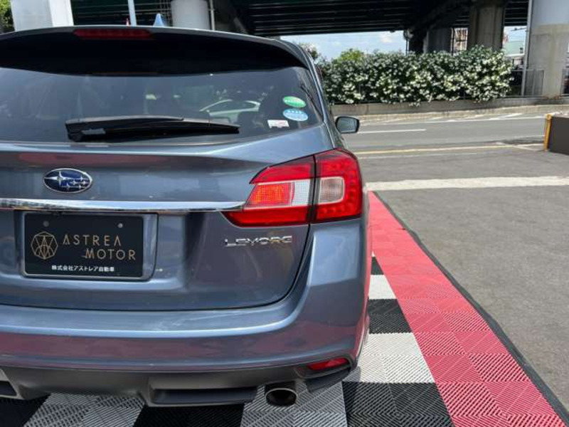 LEVORG