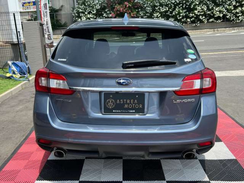 LEVORG