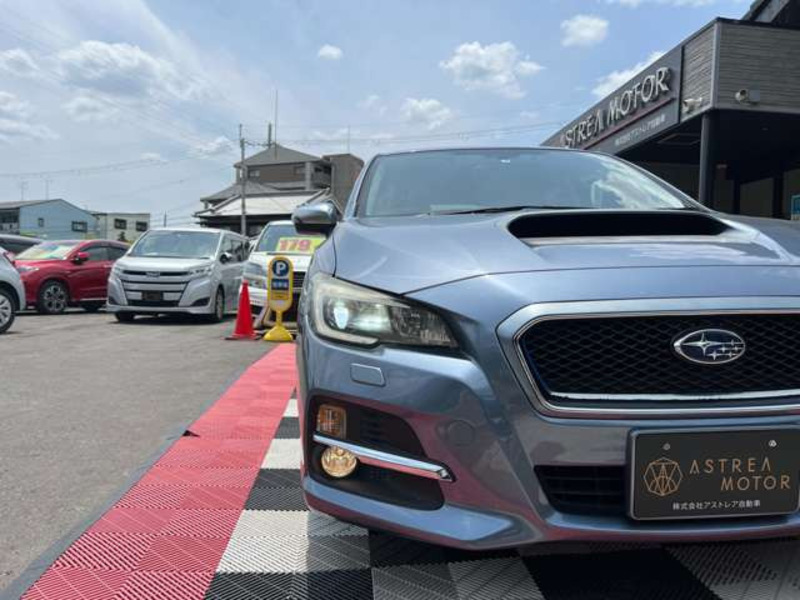 LEVORG