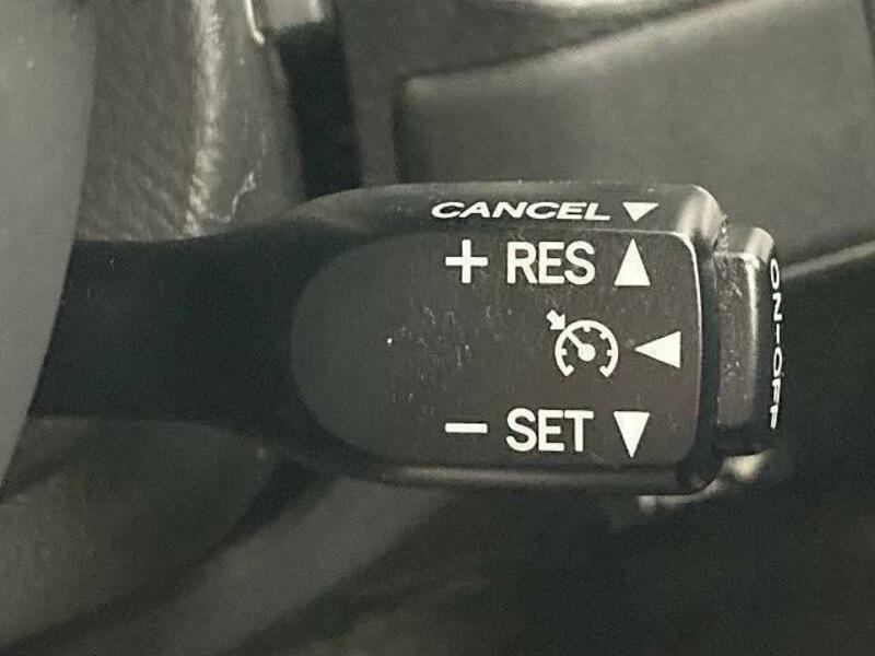 FJ CRUISER