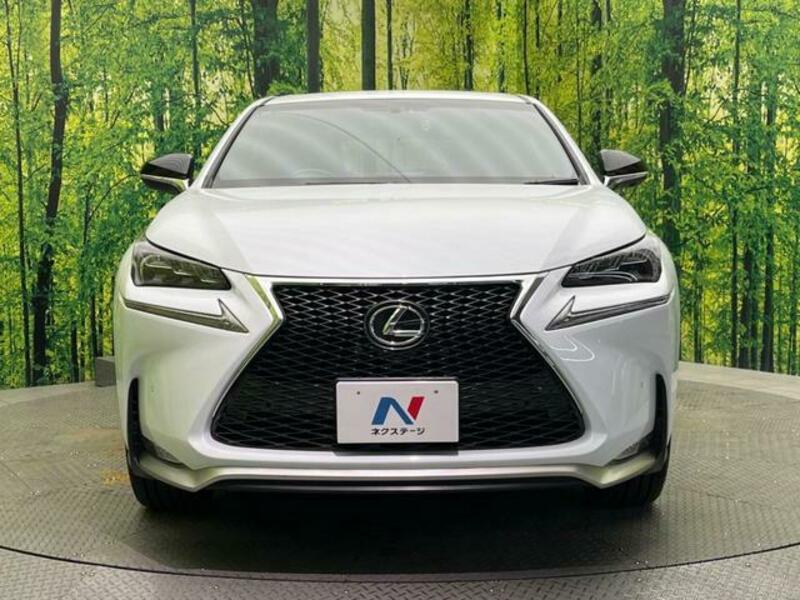 NX