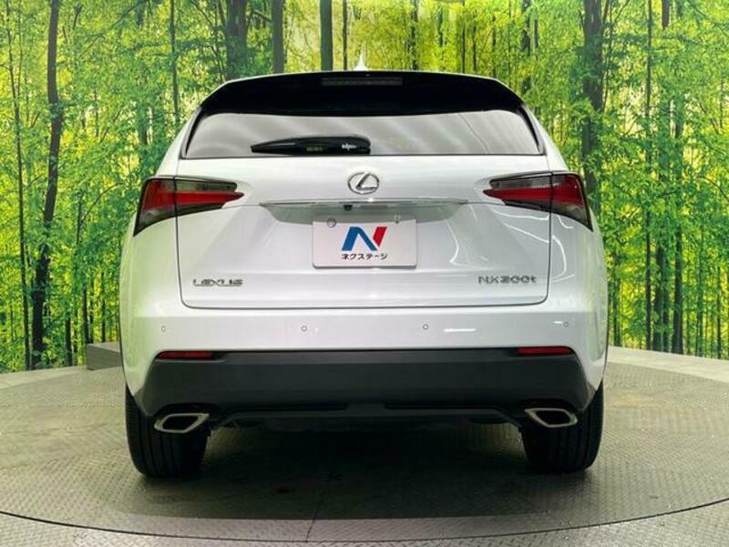 NX