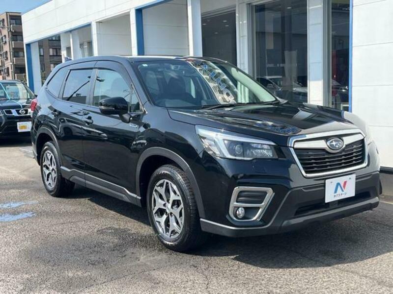 FORESTER