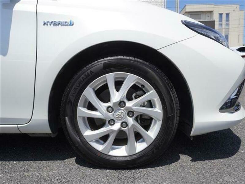 AURIS