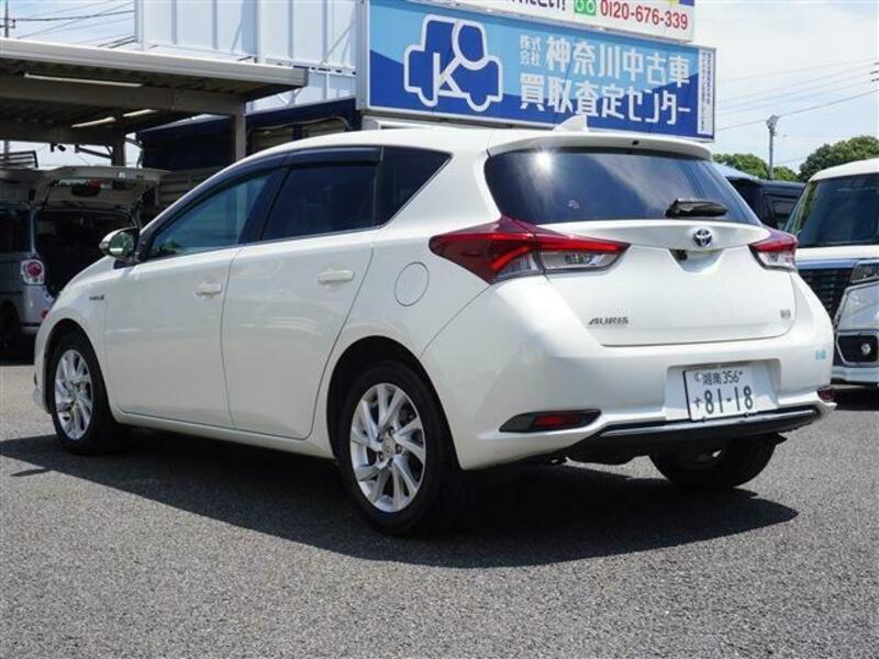 AURIS