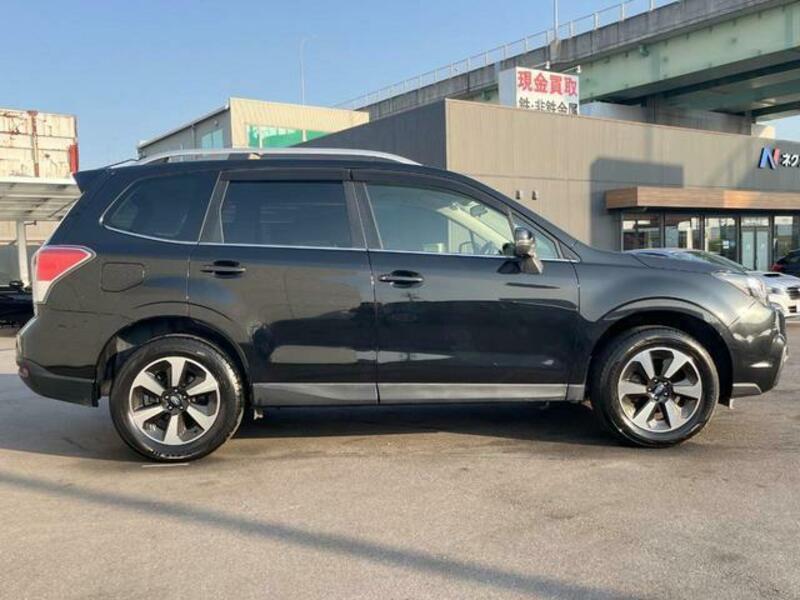 FORESTER