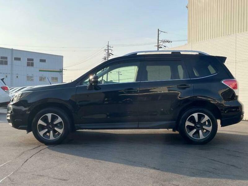FORESTER