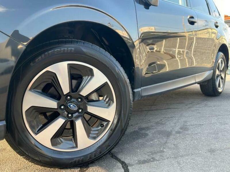 FORESTER