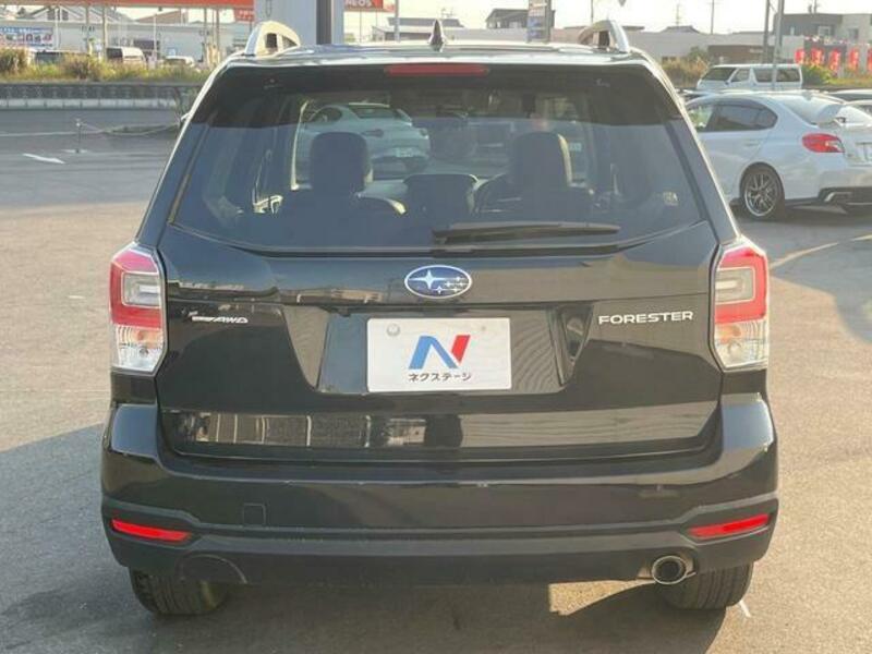 FORESTER