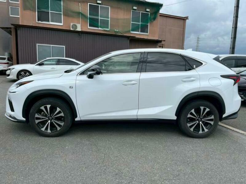 NX
