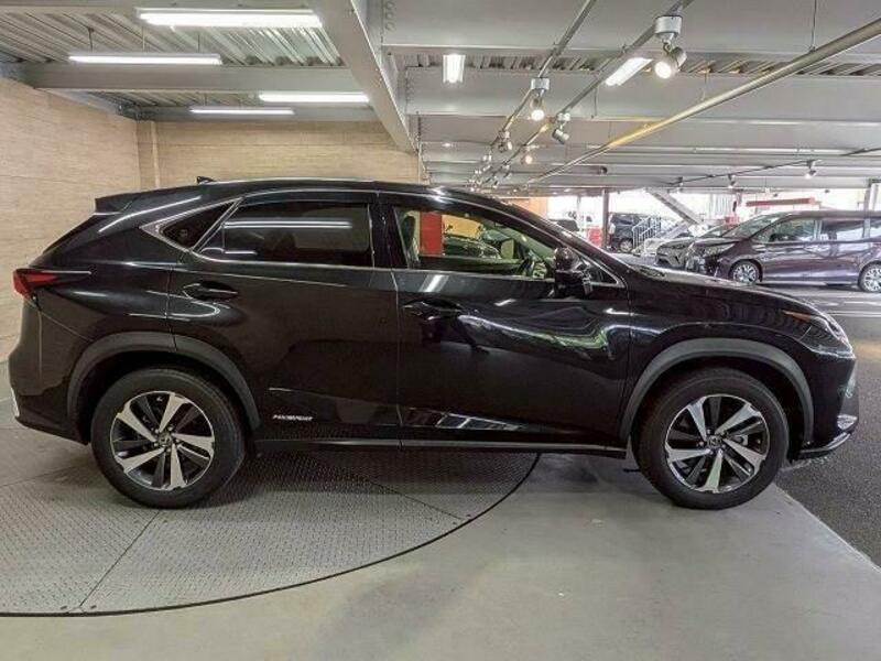 NX
