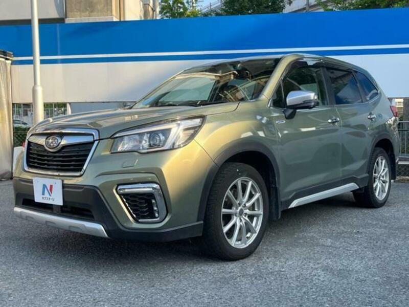 FORESTER
