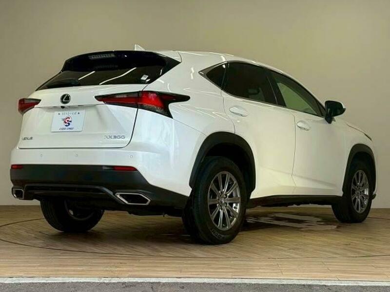 NX