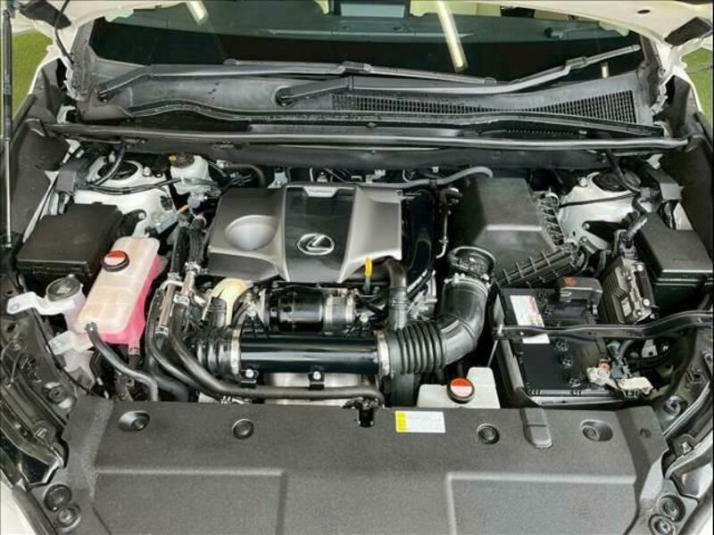 NX