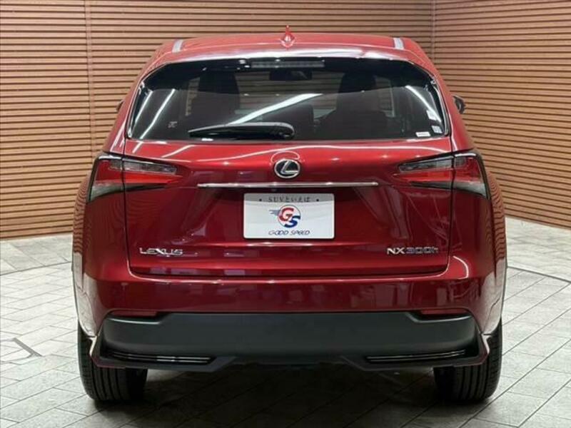 NX