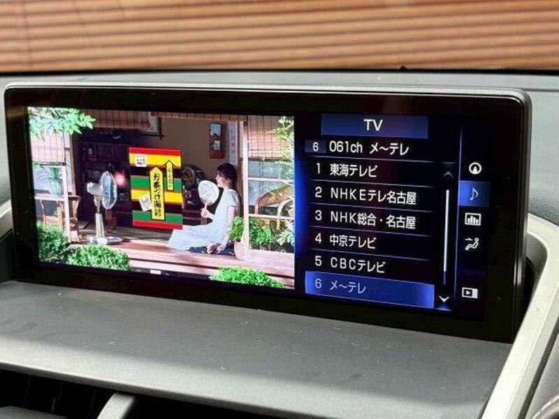 NX
