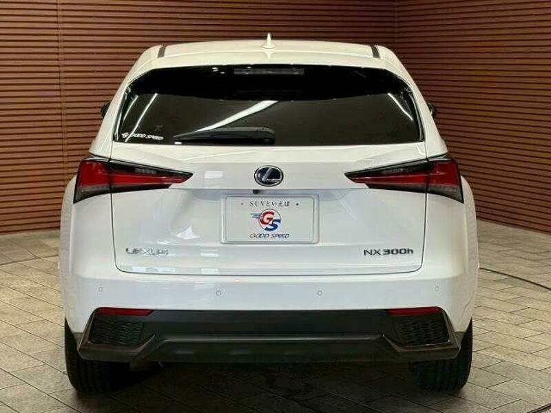 NX