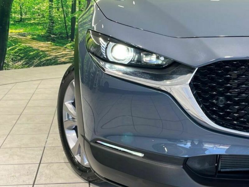 CX-30
